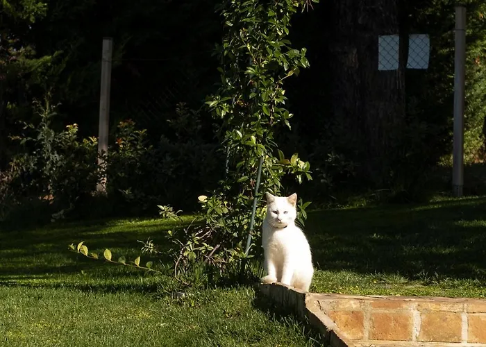 Rosmaris - Nel Semesterbostad