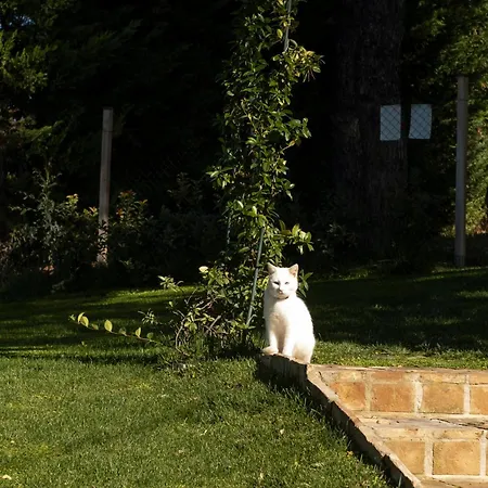 Rosmaris - Nel Holiday home