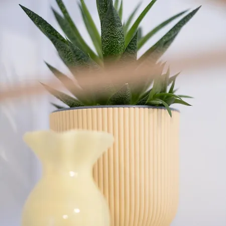 Rosmaris - Nel Holiday home