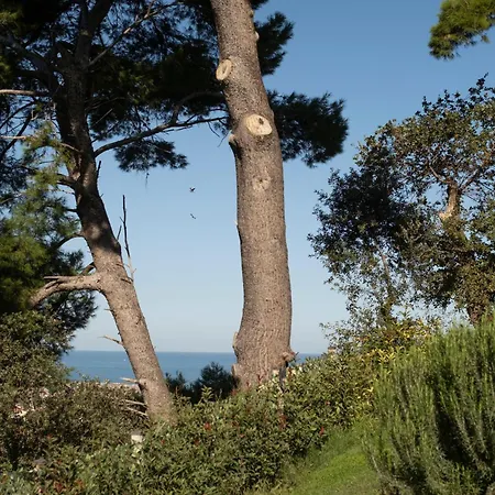 Rosmaris - Nel Holiday home *