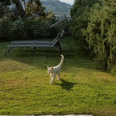 Rosmaris - Nel Casa vacanze