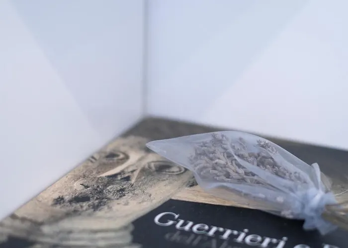 Dom wakacyjny Rosmaris - Nel