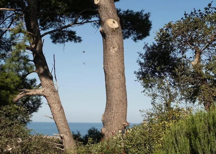 Rosmaris - Nel Dom wakacyjny *